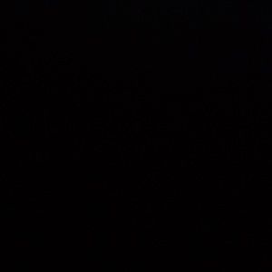 Meet your Posher, Lamiah